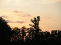 2007-Louisiana-Mission-Trip EBC (077).JPG